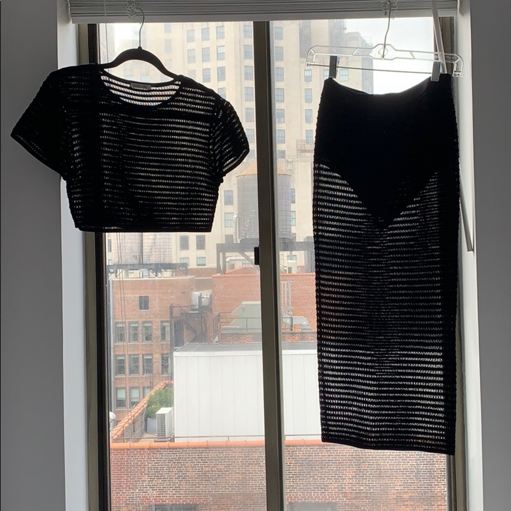 Ronny Kobo Mesh 2 piece Skirt/Top.